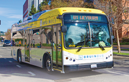 BruinBus