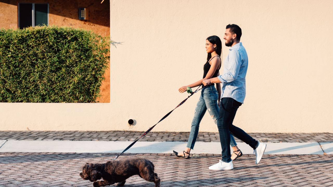Man and woman walking with a dog