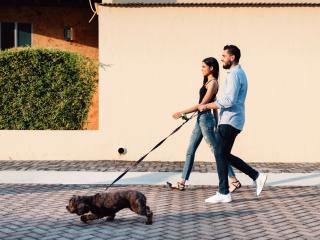Man and woman walking with a dog